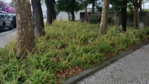 20150726_153651