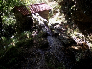 ASSOBIO____5