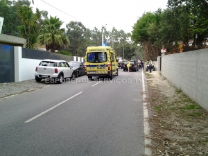 atropelamento na gatanheira_1