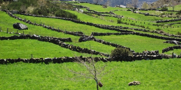 Trilho_Assobio_6